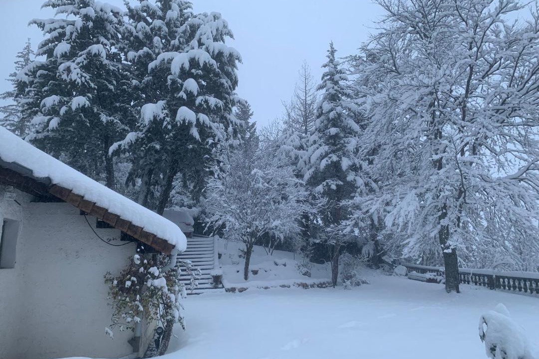 Photo of Others in Lalley