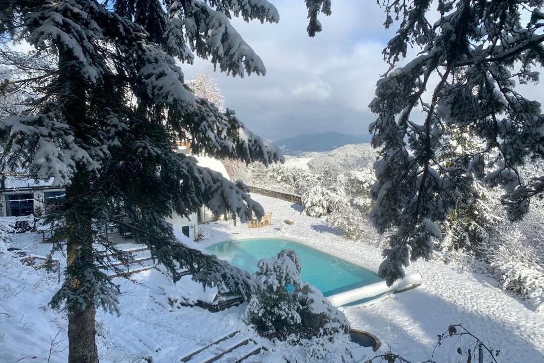 Photo of Others in Lalley