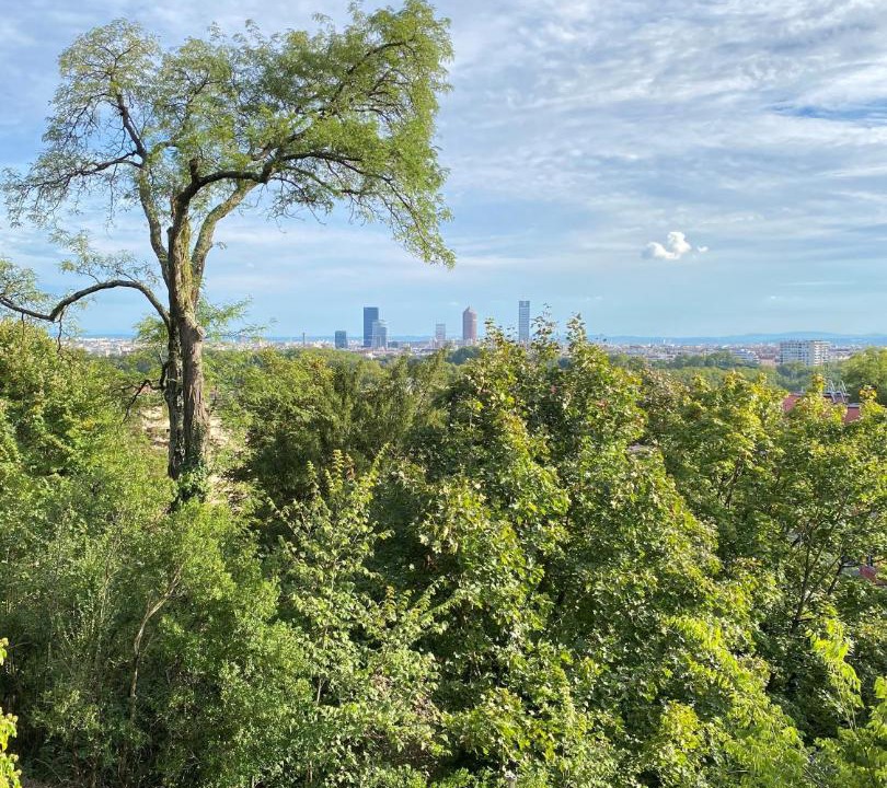 Photo of Others in Saint Clair