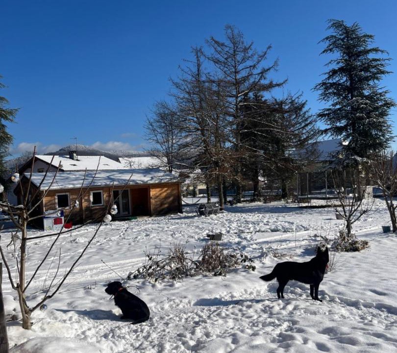 Photo of Others in Giromagny