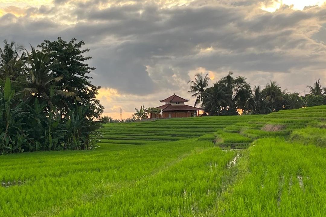 Photo of Others in Kerambitan