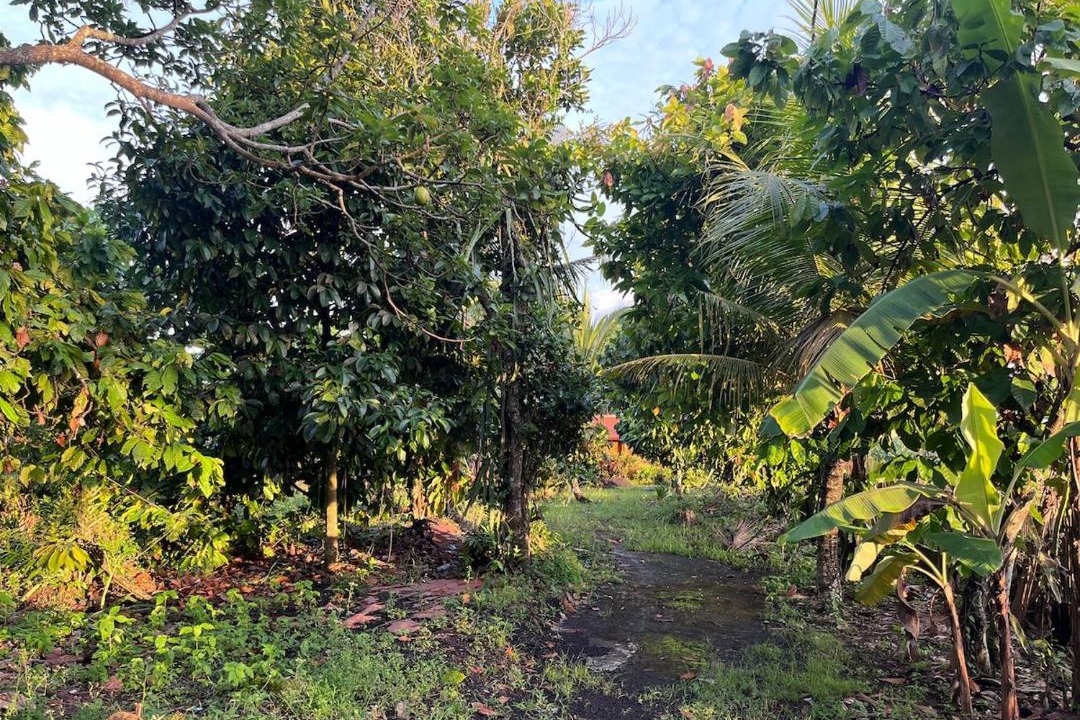 Photo of Others in Kerambitan