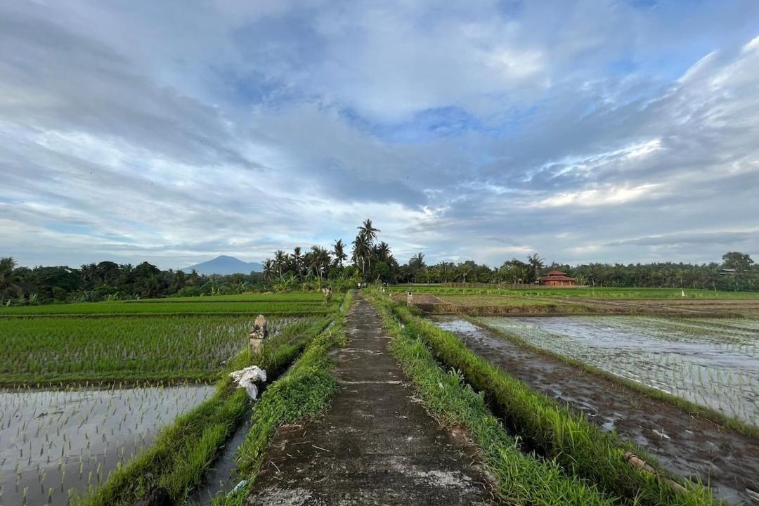 Photo of Others in Kerambitan