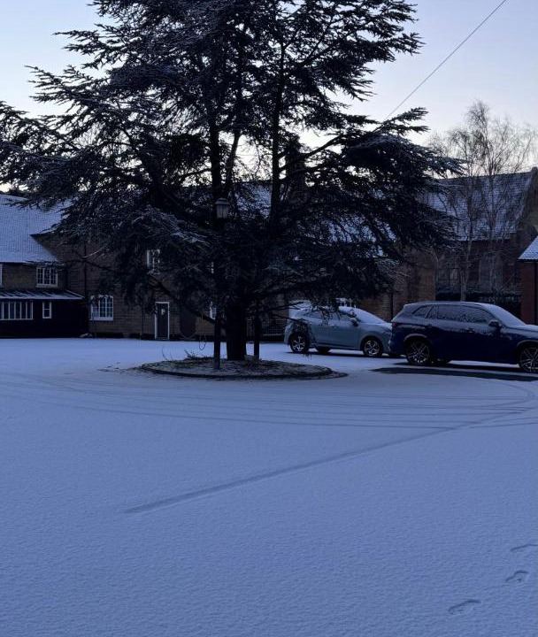 Photo of Others in March