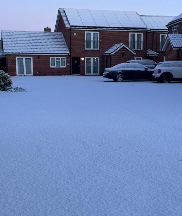 Photo of Others in March