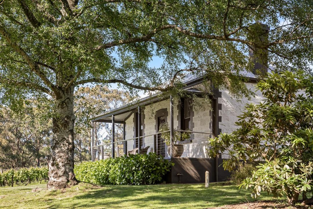Photo of Others in Piccadilly