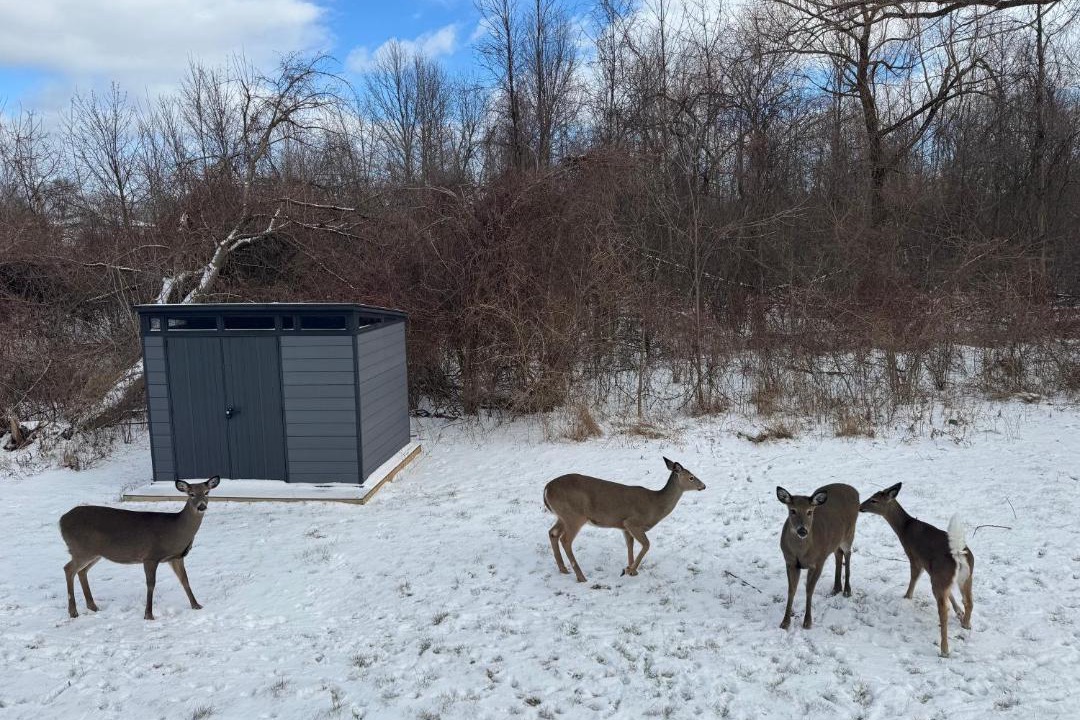 Photo of Others in Windsor