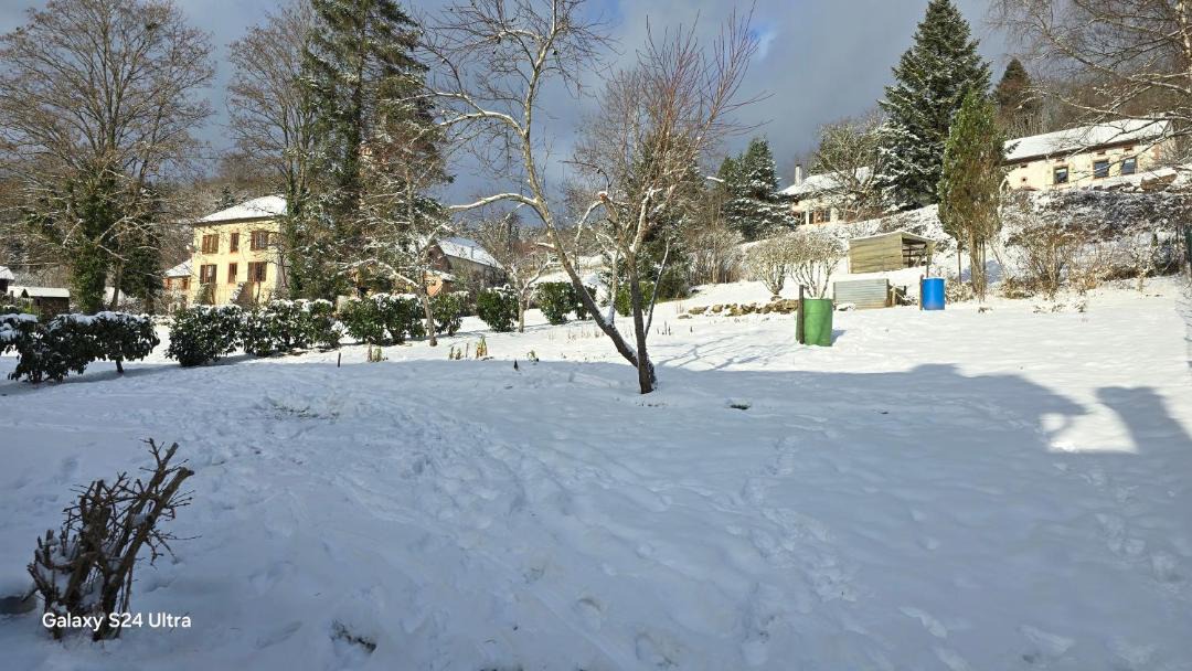 Photo of Others in La Petite-Fosse