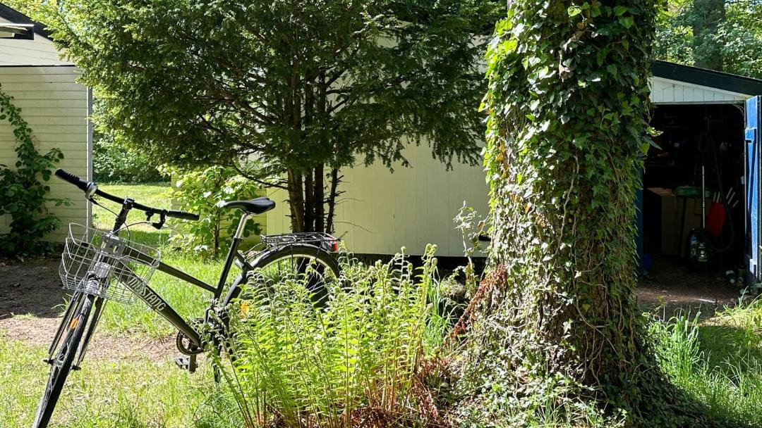 Photo of Others in Hornbaek