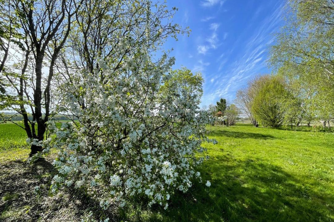 Photo of Others in Tugeras Saint Maurice