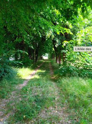 Photo of Others in Vincelles