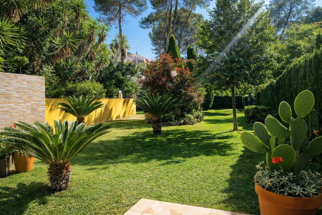 Photo of Others in Genoves