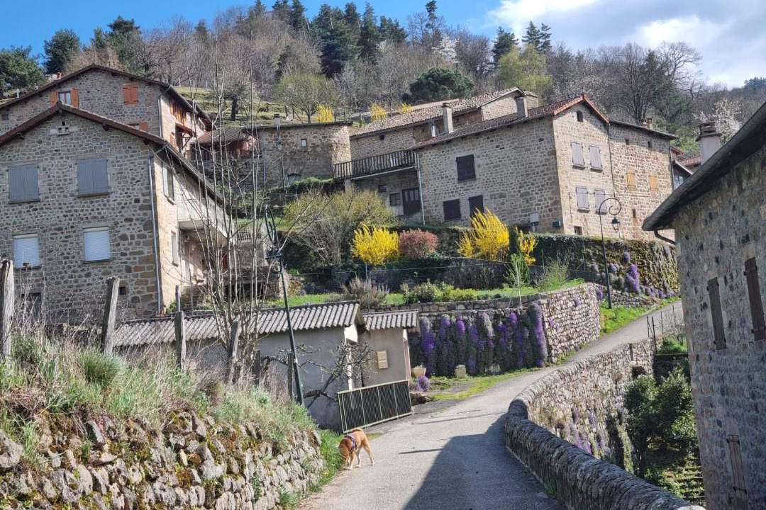 Photo of Others in Arcens