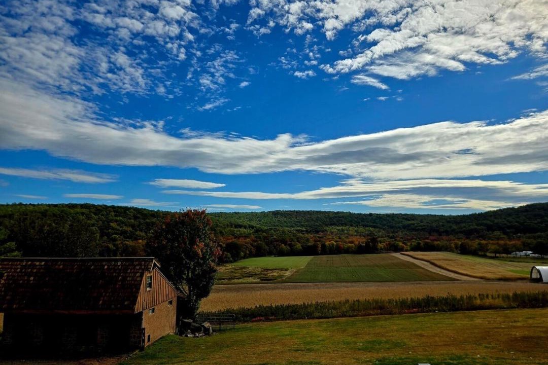 Photo of Others in Mohnton