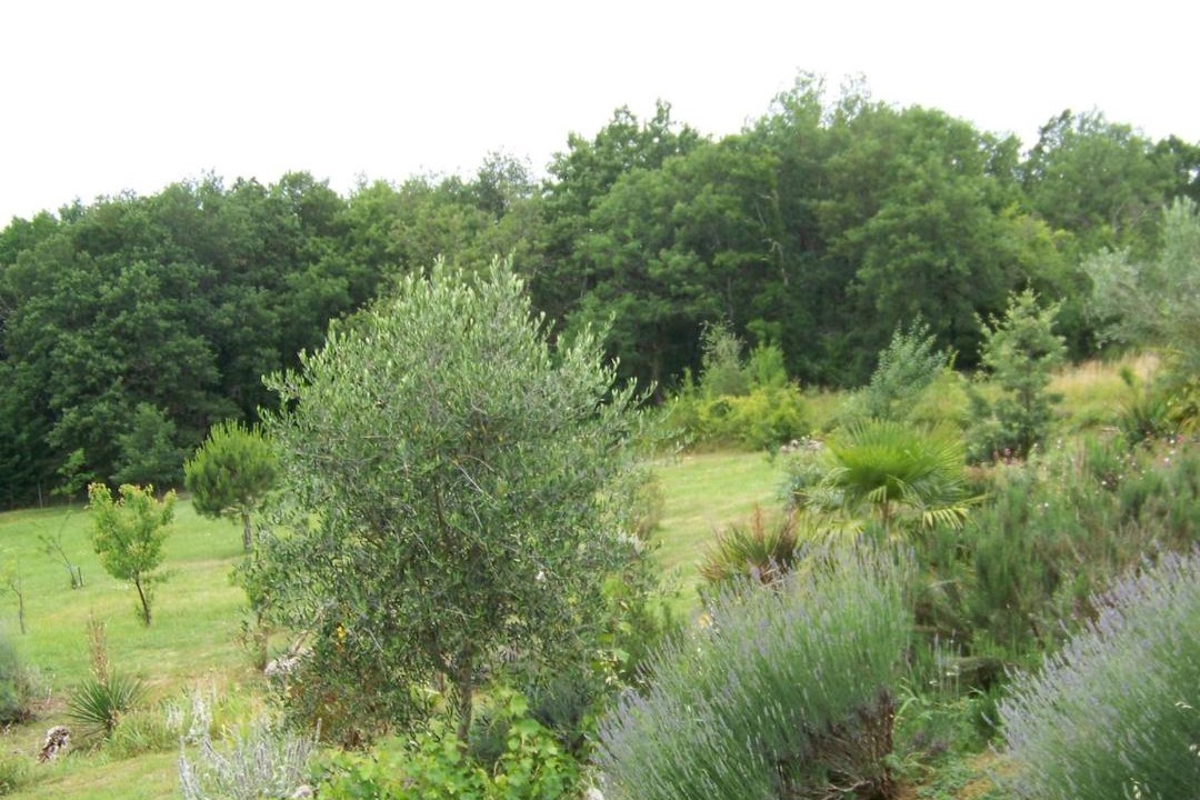 Photo of Others in Sainte-Colombe-en-Bruilhois