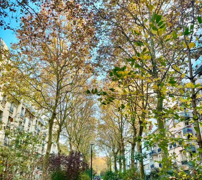 Photo of Others in Parc-de-Montsouris