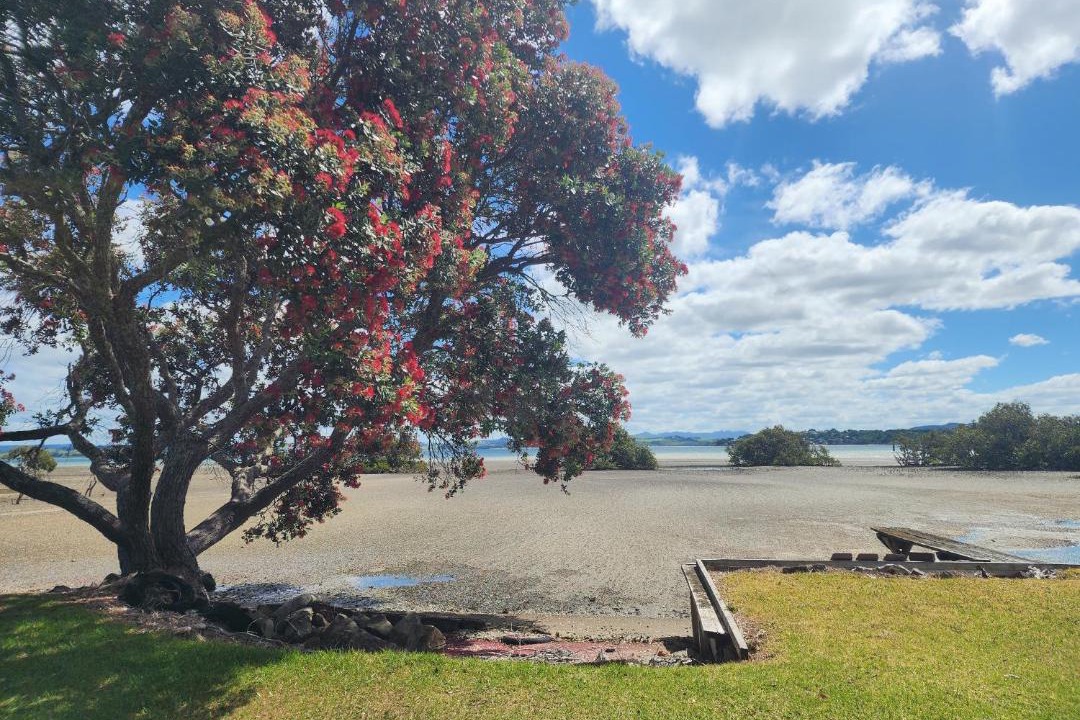 Photo of Others in Tamaterau