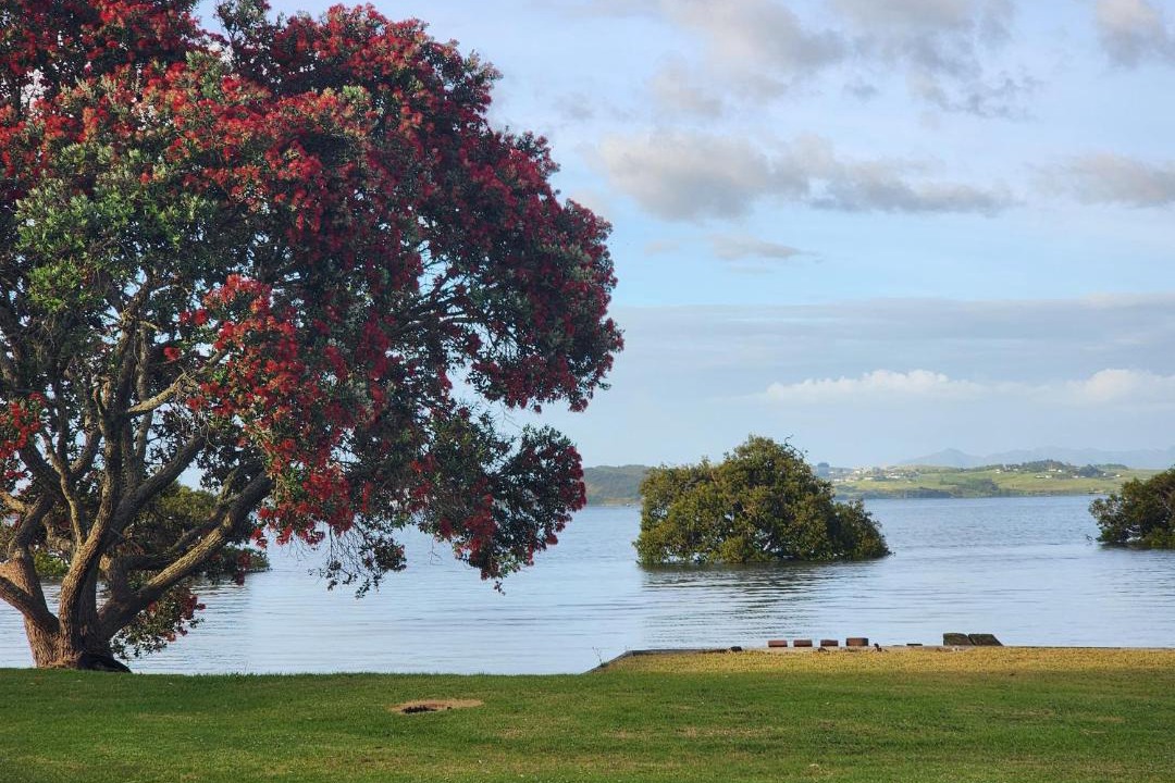 Photo of Others in Tamaterau