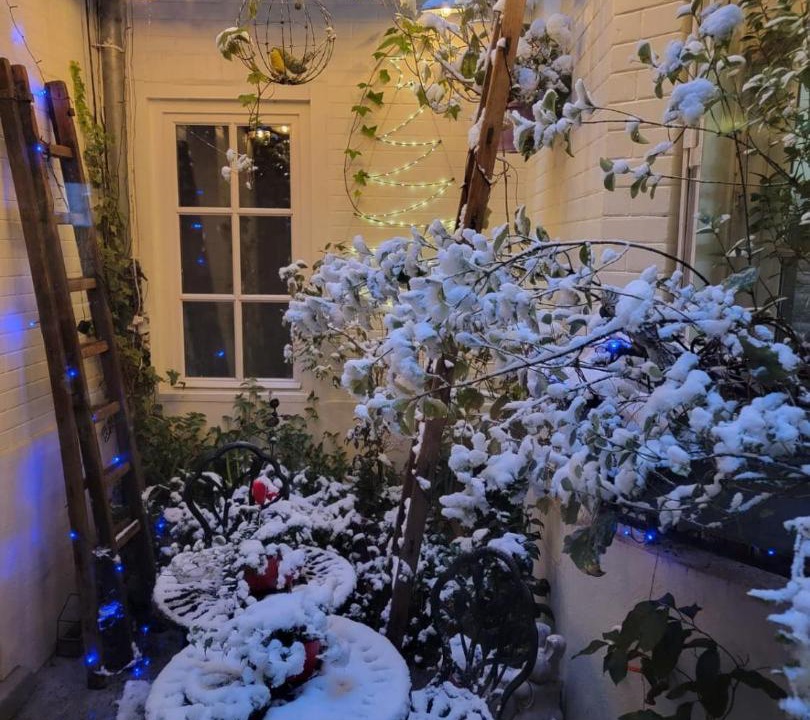 Photo of Others in Quartier du Petit-Montrouge