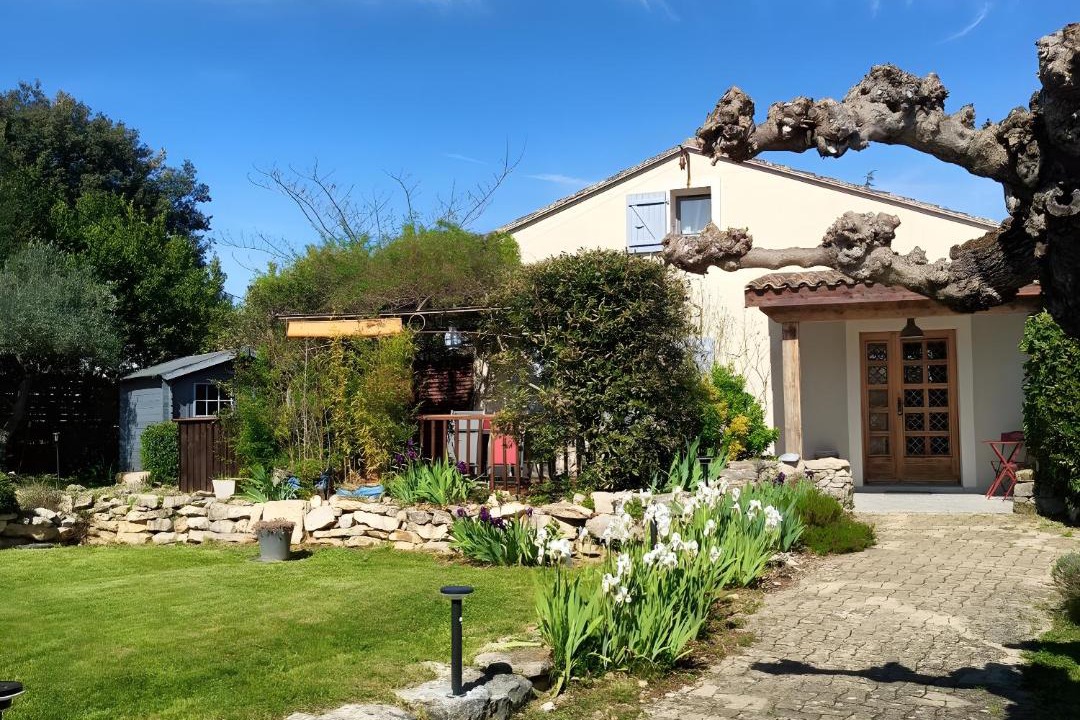 Photo of Others in Chandolas