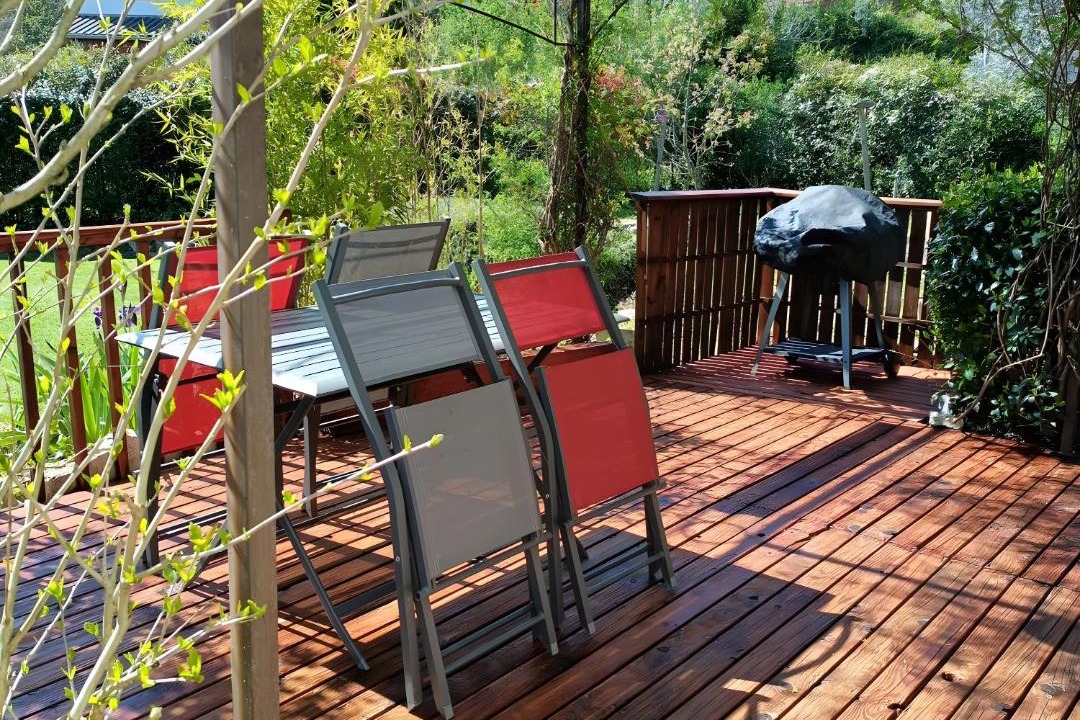 Photo of Others in Chandolas