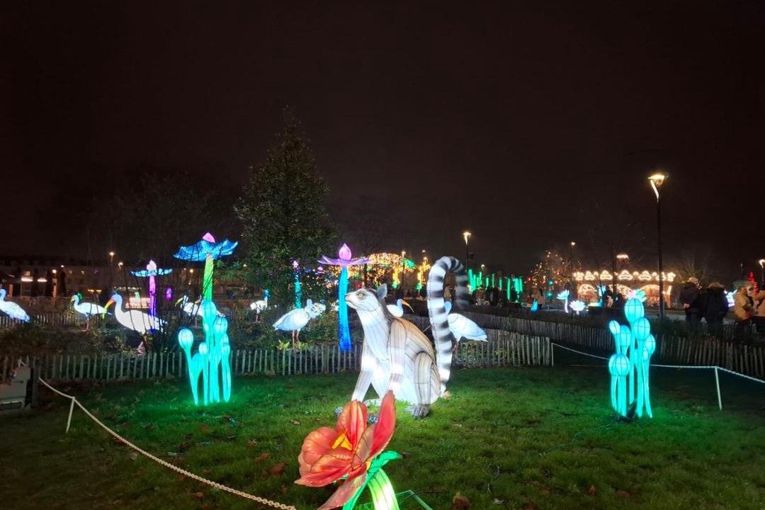 Photo of Others in Laval