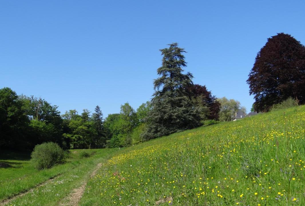 Photo of Others in La Geneytouse