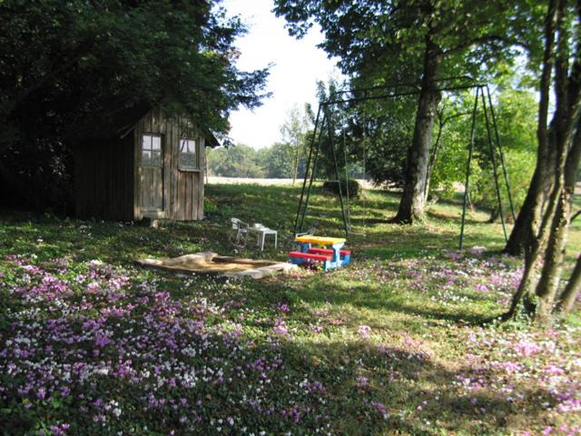 Photo of Others in Thure