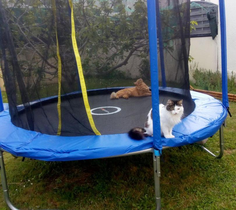 Photo of Others in Champtoceaux