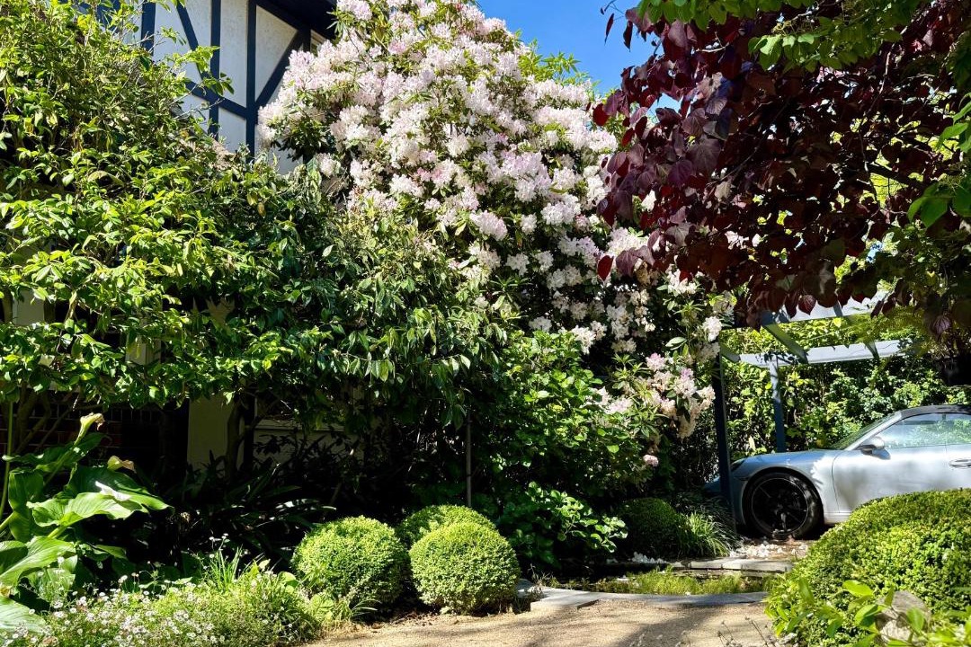 Photo of Others in Toorak