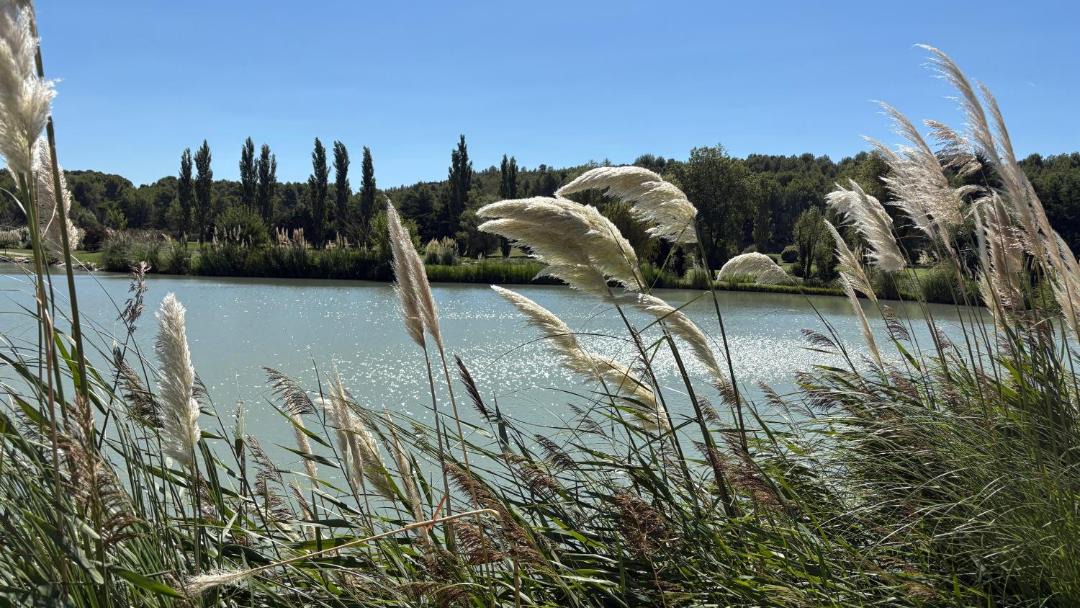 Photo of Others in Les Baux-de-Provence