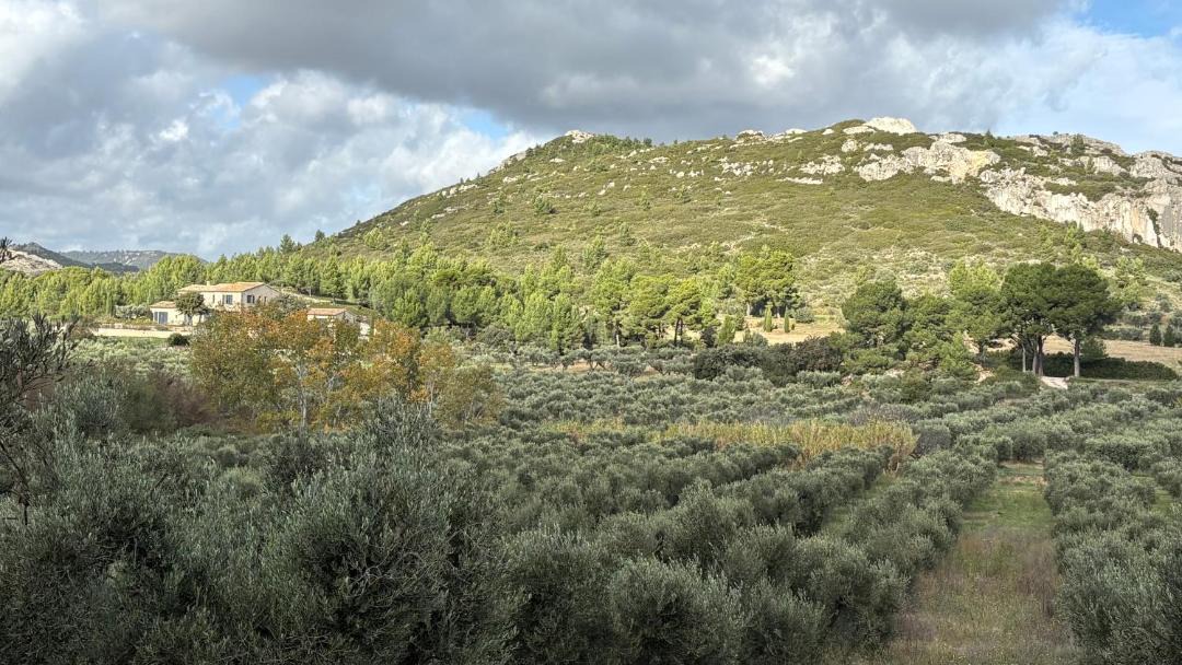 Photo of Others in Les Baux-de-Provence