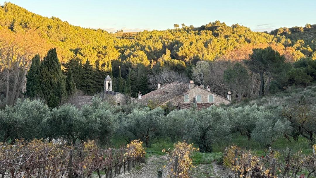 Photo of Others in Les Baux-de-Provence
