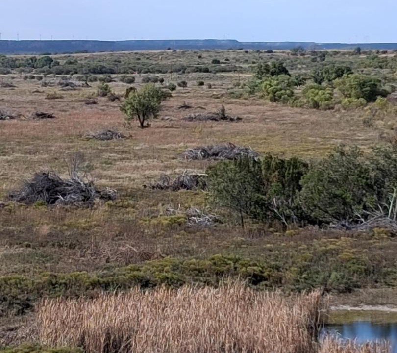 Photo of Others in Flomot
