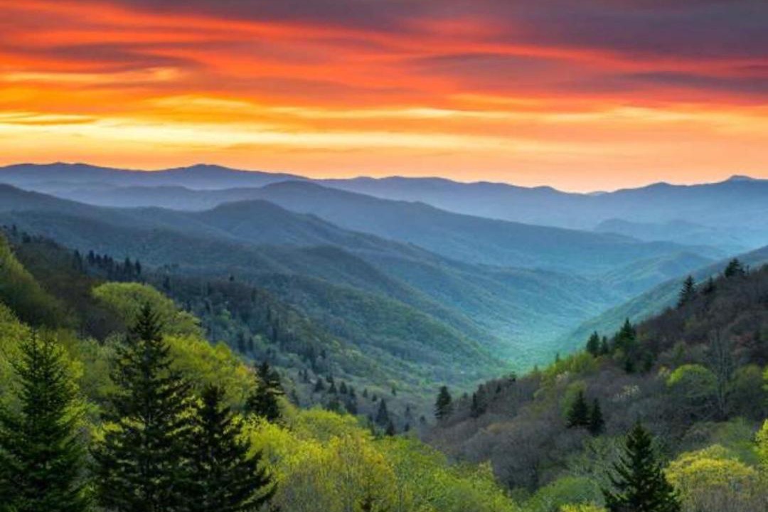 Photo of Others in Cherokee