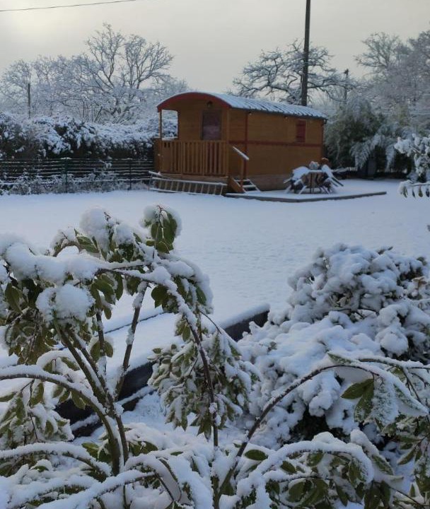 Photo of Others in Moisson