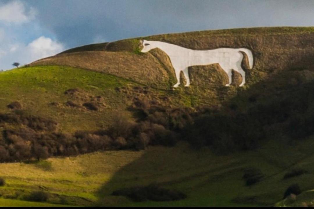 Photo of Others in Westbury