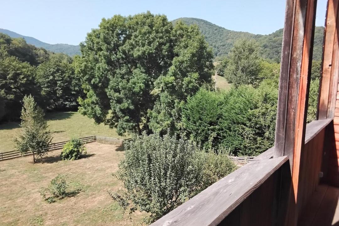 Photo of Others in Montastruc-de-Salies