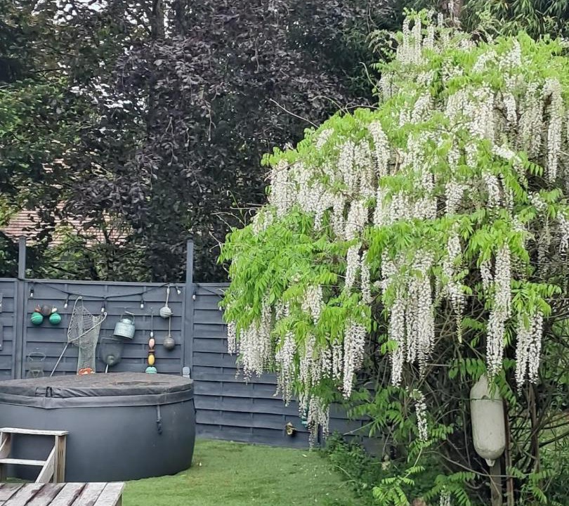 Photo of Others in Aubigny-sur-Nere