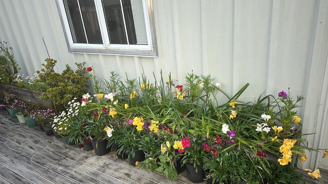 Photo of Others in Papatoetoe