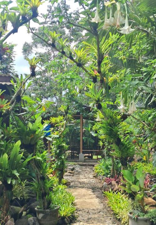 Photo of Outdoor in Banyuwangi