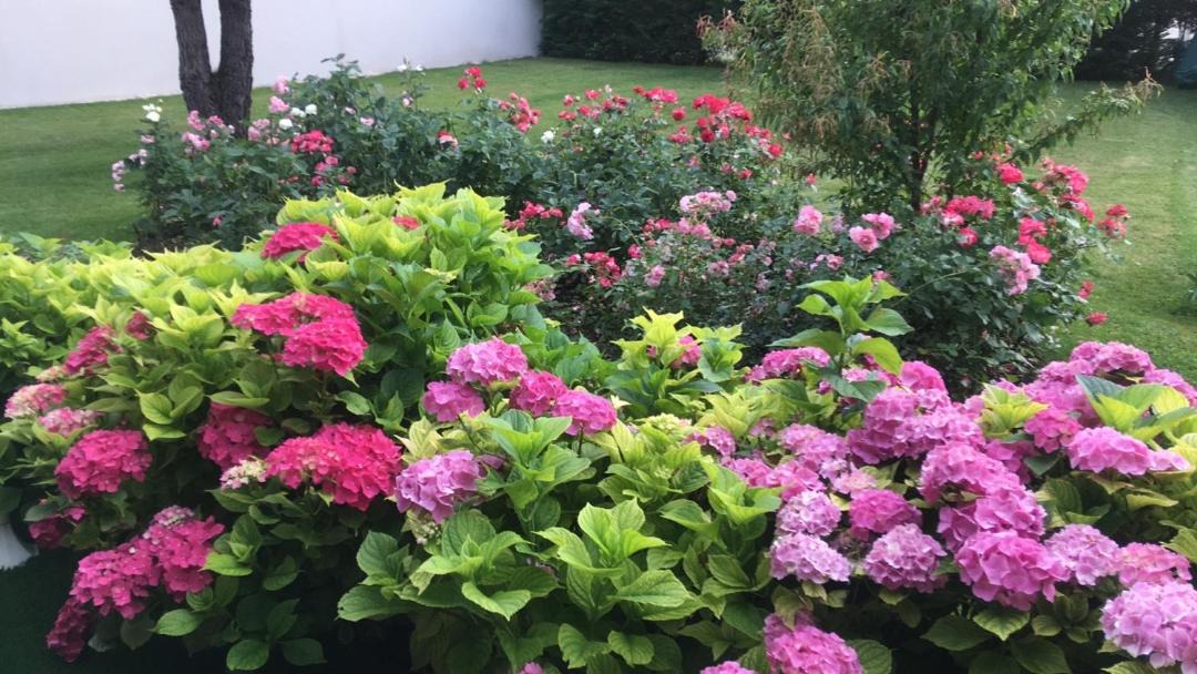 Photo of Others in Saint-Cyr-sur-le-Rhone