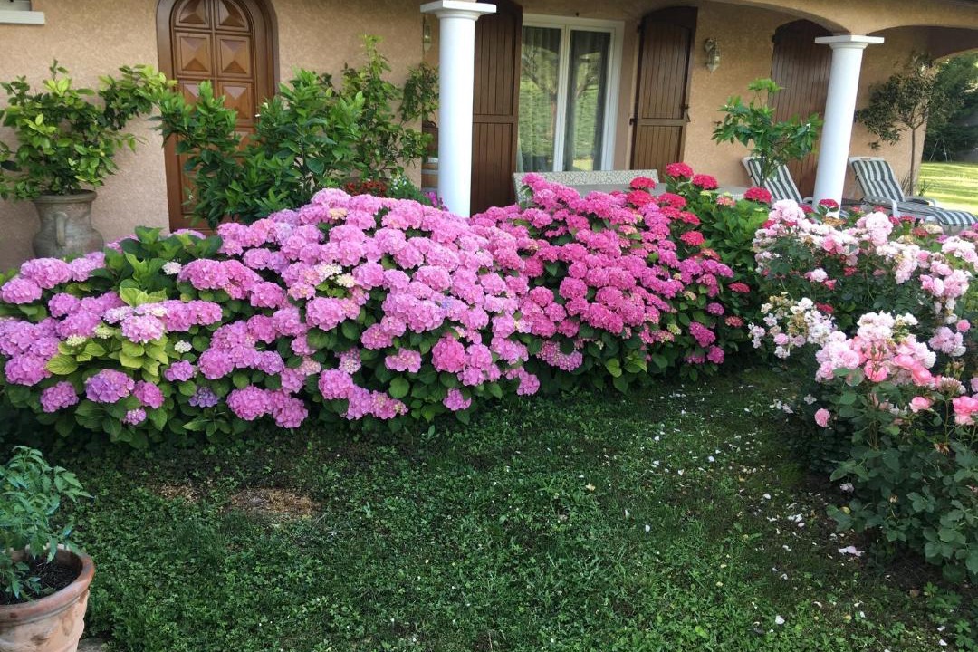 Photo of Others in Saint-Cyr-sur-le-Rhone