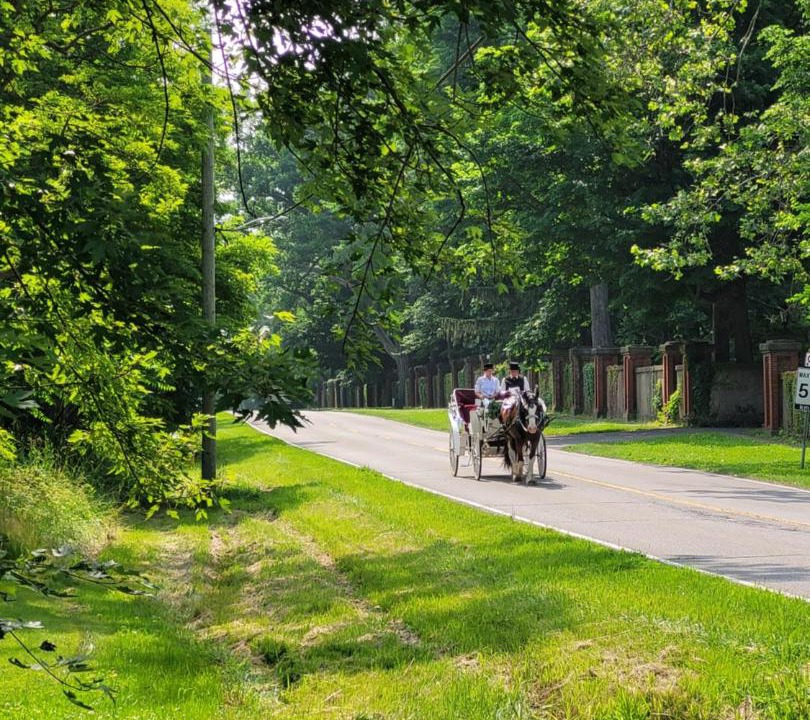 Photo of Others in Niagara-on-the-Lake