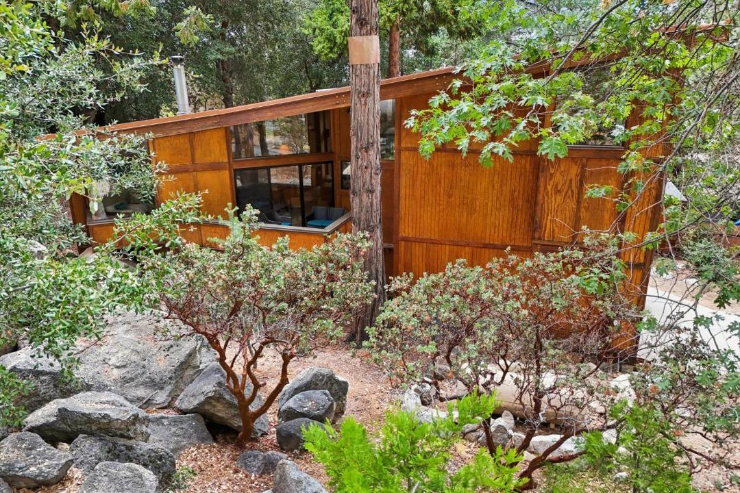 Photo of Others in Idyllwild