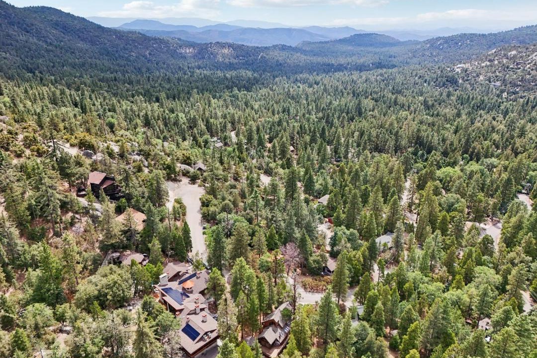 Photo of Others in Idyllwild