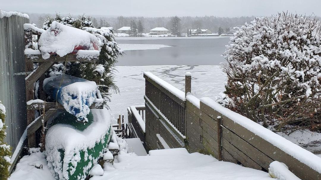 Photo of Others in Carbondale