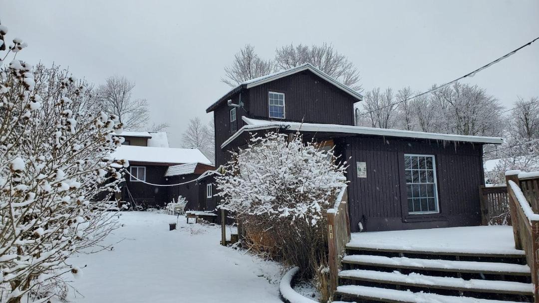 Photo of Others in Carbondale