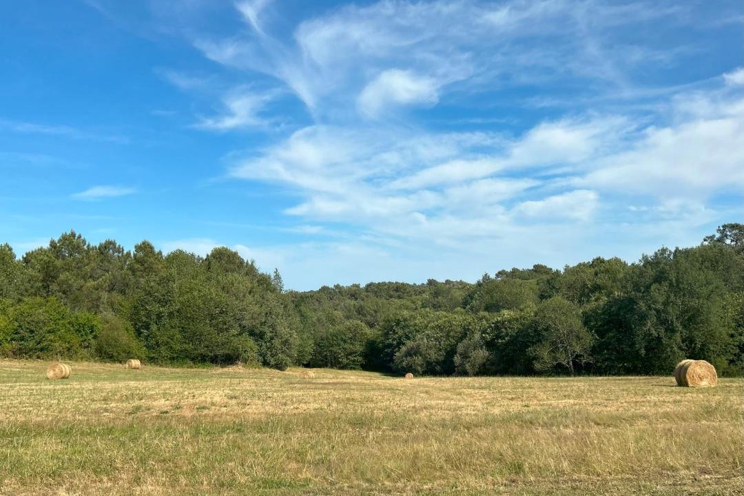 Photo of Others in Saint-Marcory