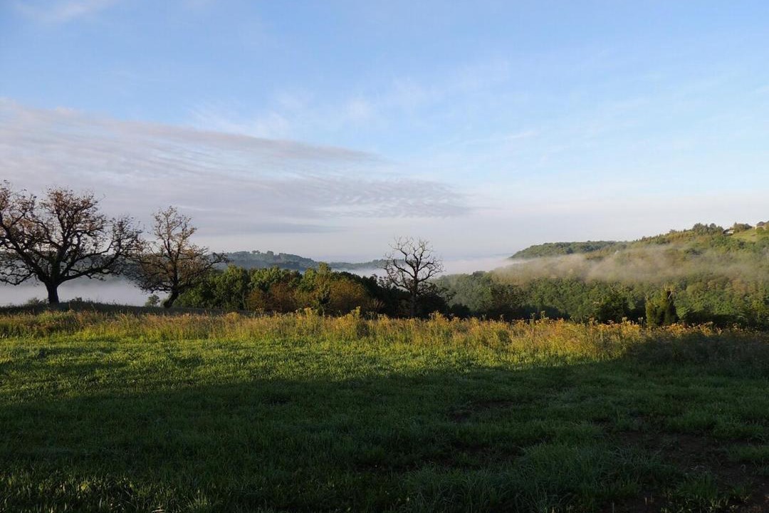 Photo of Others in Sadroc